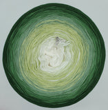 Wanderer Gradient Yarn With Shimmer