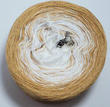 Ever After Gradient Yarn avec Shimmer