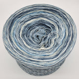 Bed of the Lake Variegated Yarn With Shimmer