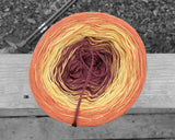 Carry You Home Gradient Yarn